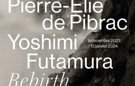 Duo Show : Rebirth – Galerie Anne-Laure Buffard