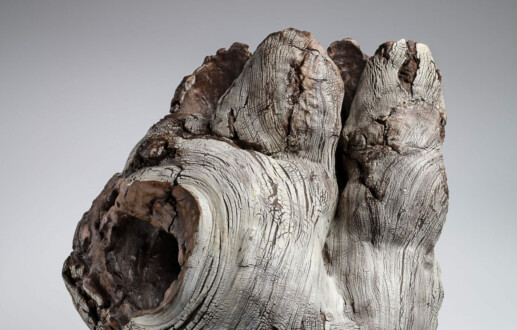 Radical Clay: Contemporary Women Artists from Japan, The Art Institute of Chicago