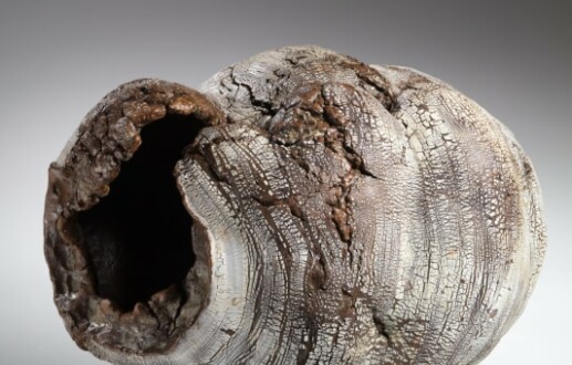 ICAF x Gardiner Museum – Toronto