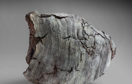 COLLAPSE / REBIRTH II – NEW YORK – J. B. MIRVISS